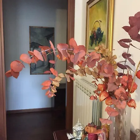 Casa Girasole بيت للعطل فينو مورناسكو